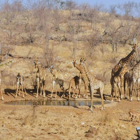 Mbizi Bush Lodge Grietjie Game Reserve Eksteriør billede