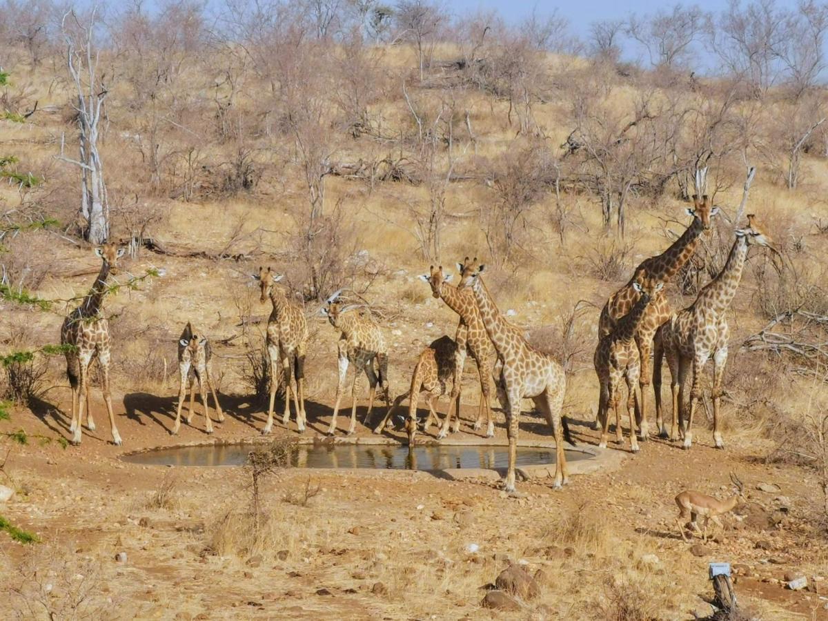 Mbizi Bush Lodge Grietjie Game Reserve Eksteriør billede