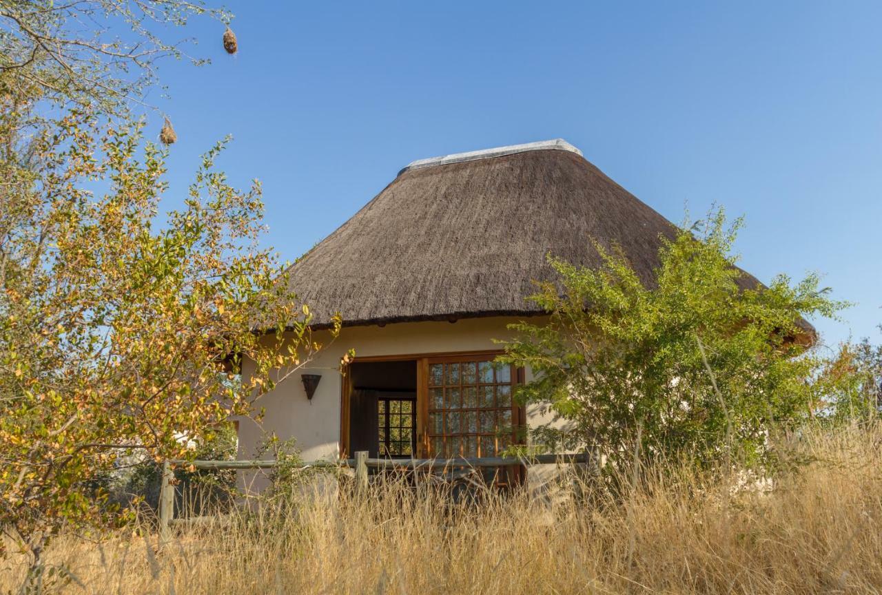 Mbizi Bush Lodge Grietjie Game Reserve Eksteriør billede