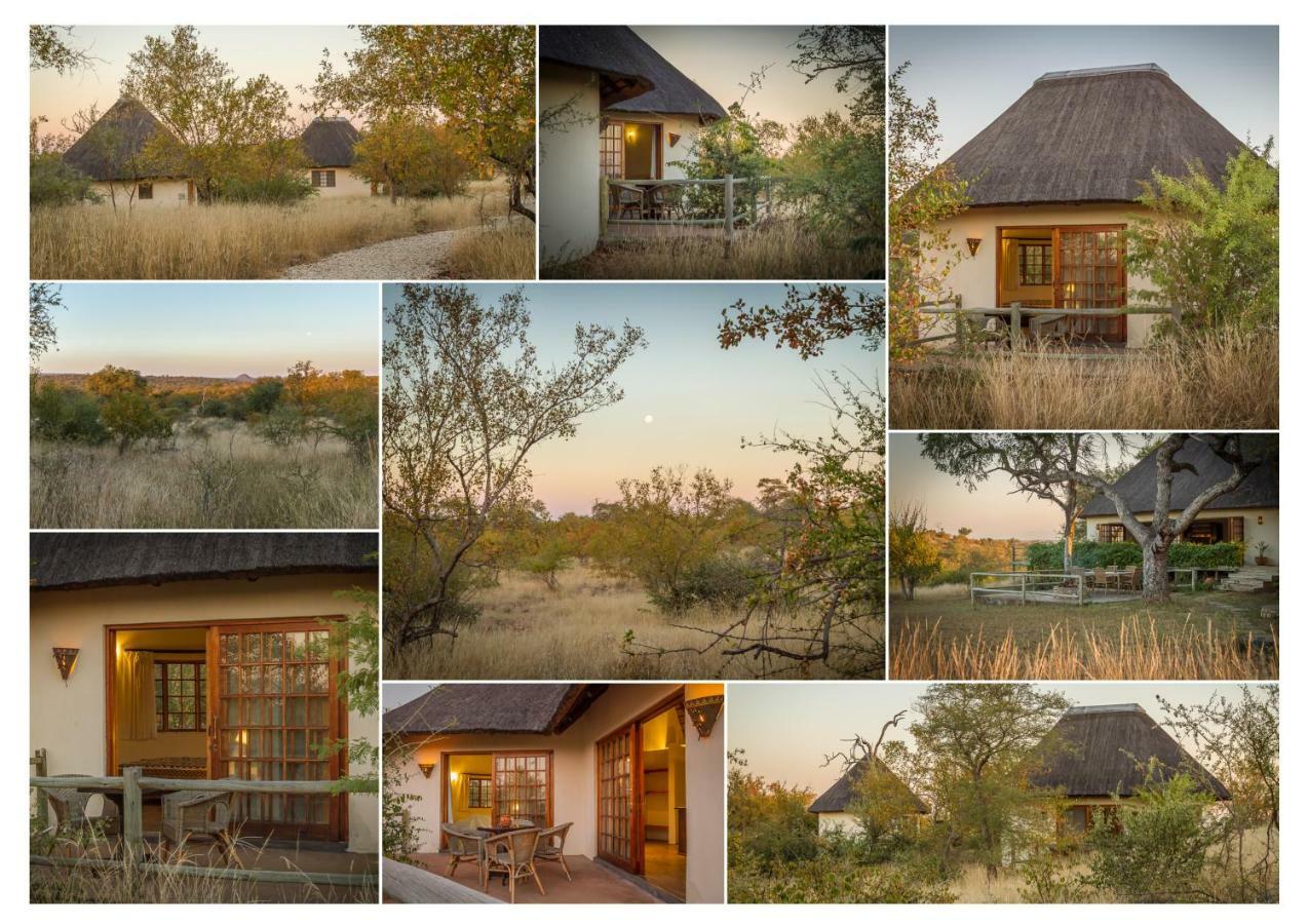 Mbizi Bush Lodge Grietjie Game Reserve Eksteriør billede